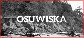 poradniki boxy osuwiska